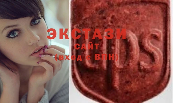 ECSTASY Богородицк